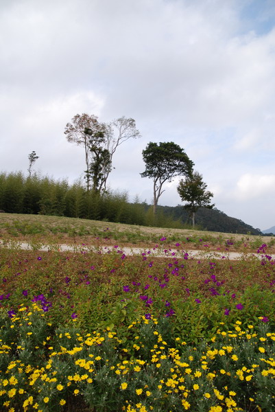 【新竹 景觀餐廳】數碼天空 | 八五山的邂逅