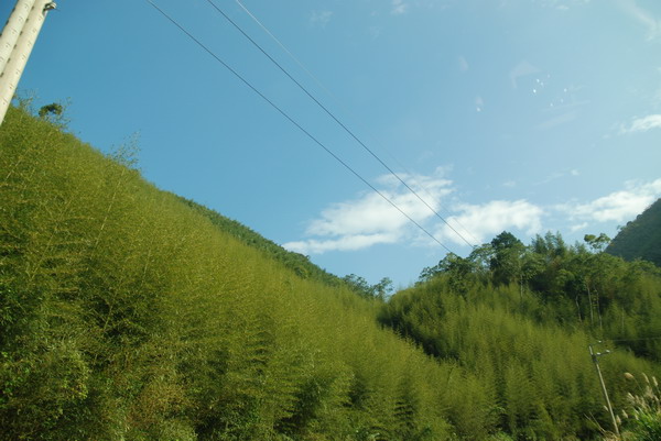 【新竹 景觀餐廳】數碼天空 | 八五山的邂逅