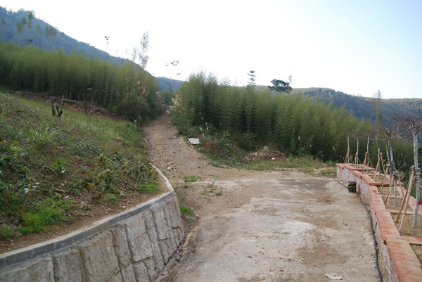 【新竹 景觀餐廳】數碼天空 | 八五山的邂逅