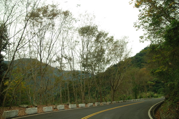 【花蓮】 2007的第一道曙光。花蓮跨年