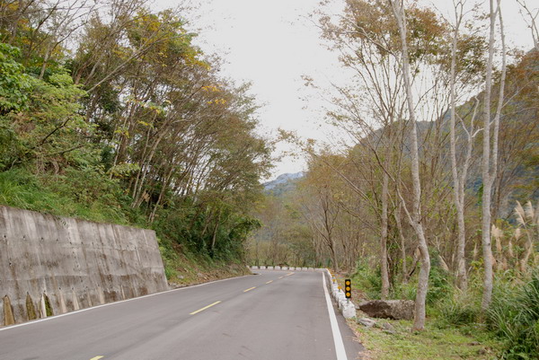 【花蓮】 2007的第一道曙光。花蓮跨年