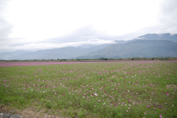 【花蓮】 2007的第一道曙光。花蓮跨年